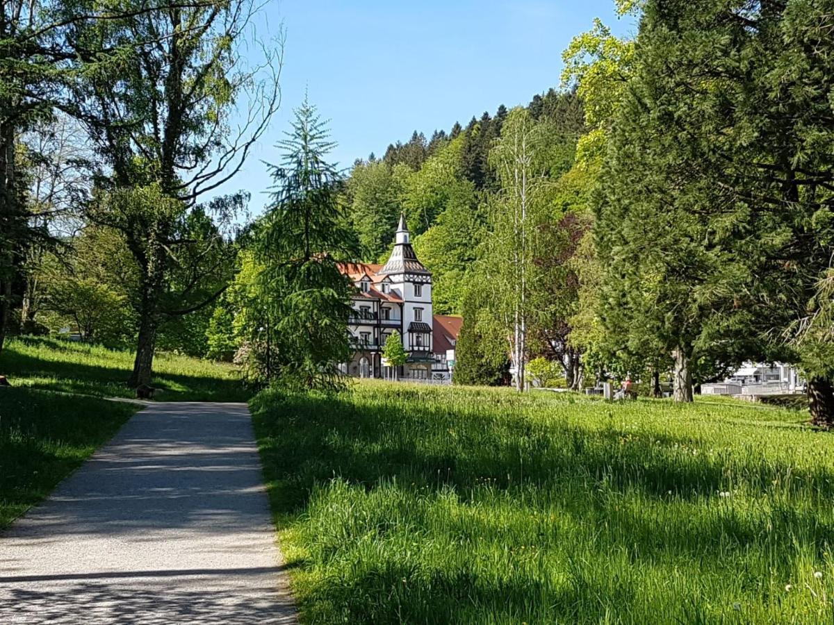 Am Klosterviertel Bad Herrenalb Bagian luar foto